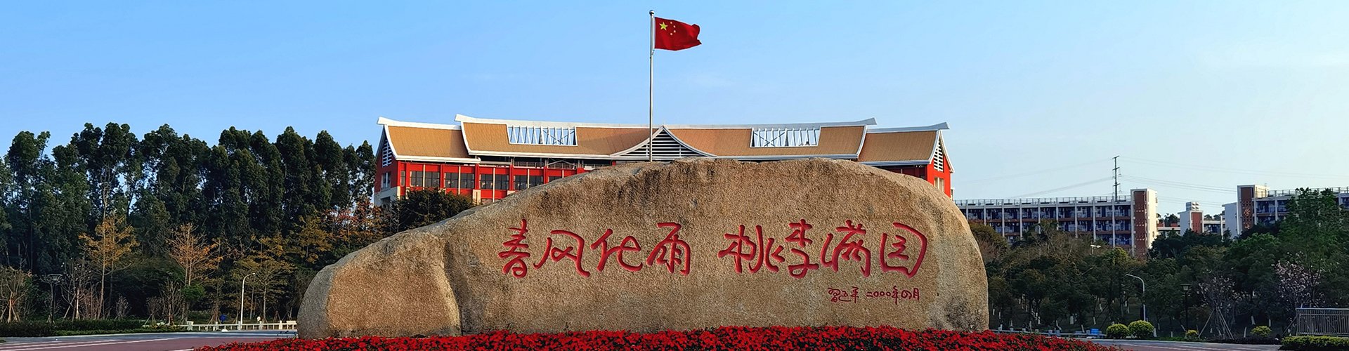 工作动态